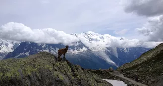 Réserve naturelle des Aiguilles Rouges