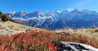 Alpages et Chalets de Chailloux