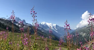 Télécabine de Balme - Charamillon