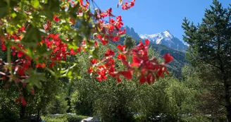 Camping de la Mer de Glace