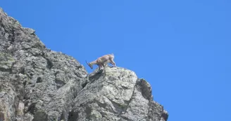 Réserve Naturelle Nationale des Aiguilles Rouges