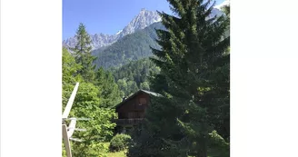 Chalet les Epilobes