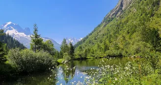 Col des Montets