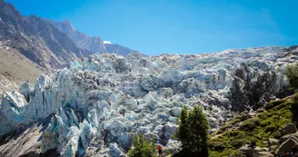 Glacier d'Argentière