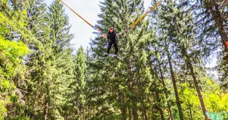 Parcours aventure : La Forêt Magique