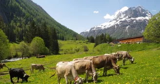 Mont-Blanc Fermes Péda