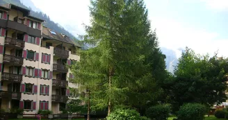 Charmant T2 à Chamonix Sud avec vue sur le Brévent