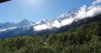 Appartement Cécile Sans-Soucis