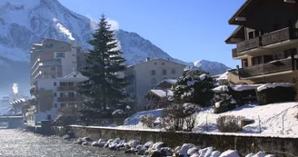 Jardins du Mont-Blanc - Le Perce Neige