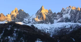 Jardins du Mont-Blanc - Le Perce Neige