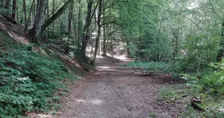 Le massif des Gures et son ancien camp celtique