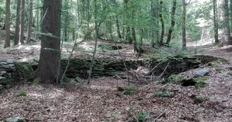 Le massif des Gures et son ancien camp celtique