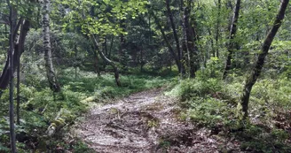 Le massif des Gures et son ancien camp celtique