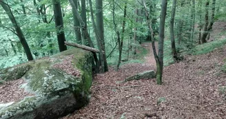 Le massif des Gures et son ancien camp celtique