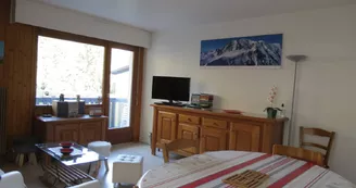 Appartement F Les Aiguilles du Brévent